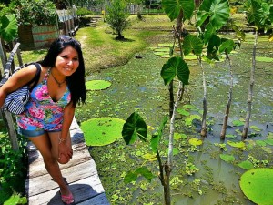 Victoria regia